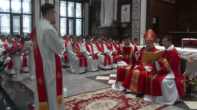 1738837162424165.jpeg PIC_0747.JPG